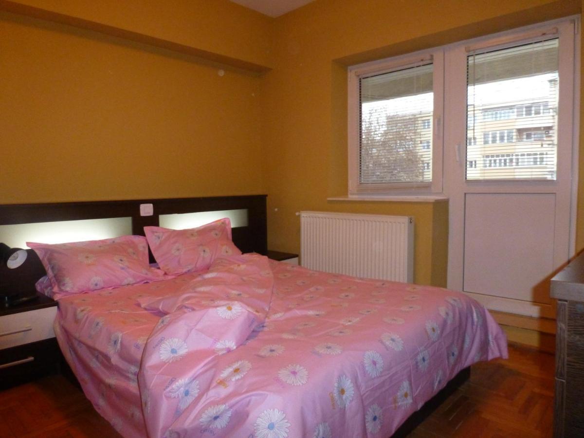 Apartament Zippi Republicii Rhbm 巴亚马雷 外观 照片