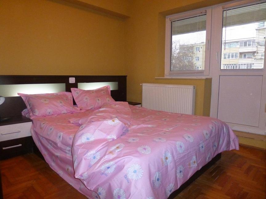 Apartament Zippi Republicii Rhbm 巴亚马雷 外观 照片